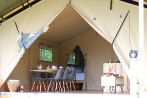New adventures, Our luxury safari tent